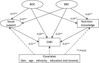 Social capital and healthy eating among two ethnic minority groups in Yunnan Province, Southwest China: the mediating role of social support and nutrition knowledge